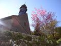 Herbstimpressionen aus Watterbach und der Schrahmühle